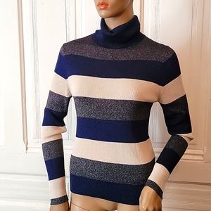 Banana Republic Navy and Cream Sweater
